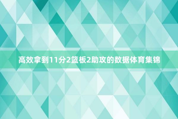 高效拿到11分2篮板2助攻的数据体育集锦