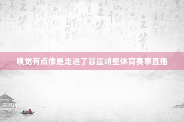嗅觉有点像是走进了悬崖峭壁体育赛事直播