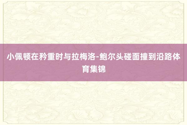 小佩顿在矜重时与拉梅洛-鲍尔头碰面撞到沿路体育集锦