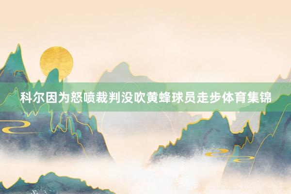科尔因为怒喷裁判没吹黄蜂球员走步体育集锦