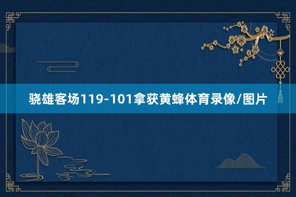 骁雄客场119-101拿获黄蜂体育录像/图片
