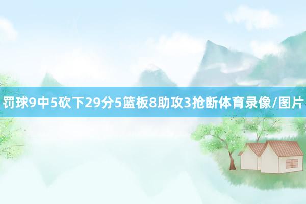 罚球9中5砍下29分5篮板8助攻3抢断体育录像/图片