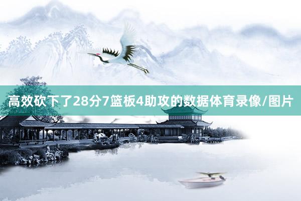 高效砍下了28分7篮板4助攻的数据体育录像/图片