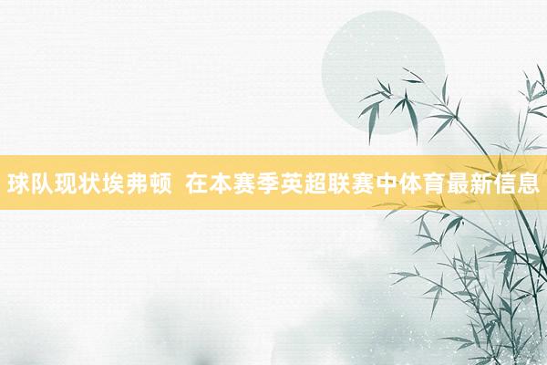 球队现状埃弗顿  在本赛季英超联赛中体育最新信息
