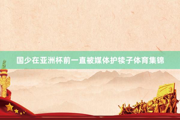 国少在亚洲杯前一直被媒体护犊子体育集锦