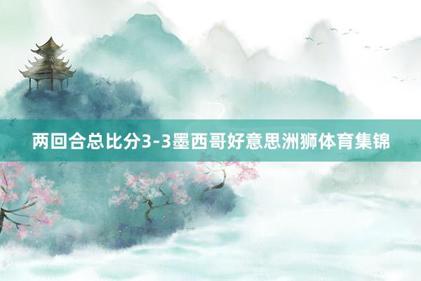 两回合总比分3-3墨西哥好意思洲狮体育集锦
