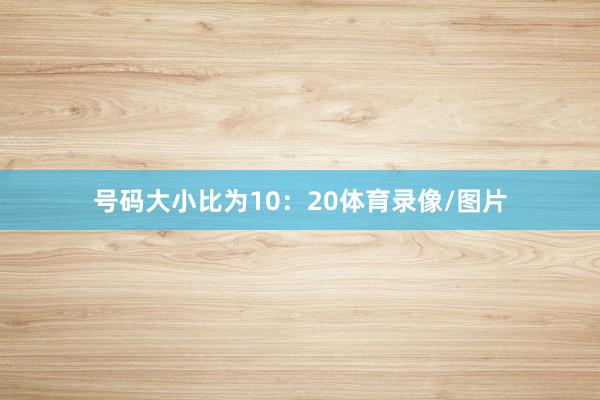 号码大小比为10：20体育录像/图片