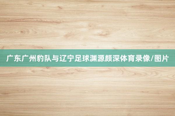 广东广州豹队与辽宁足球渊源颇深体育录像/图片