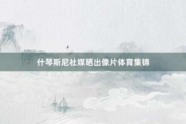什琴斯尼社媒晒出像片体育集锦