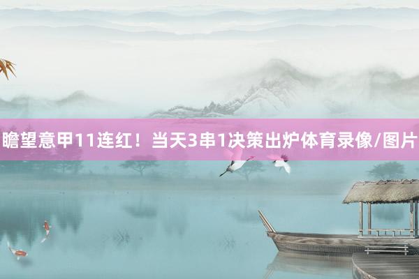 瞻望意甲11连红！当天3串1决策出炉体育录像/图片