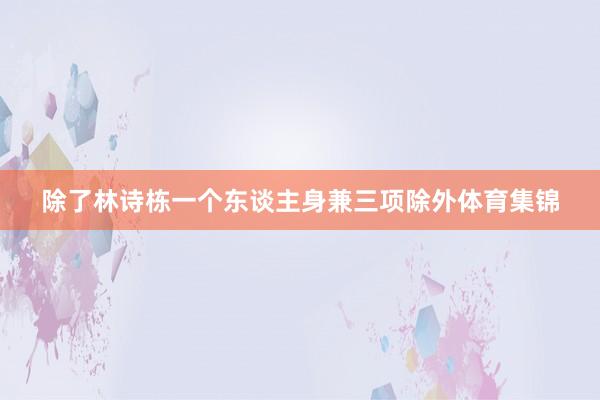 除了林诗栋一个东谈主身兼三项除外体育集锦