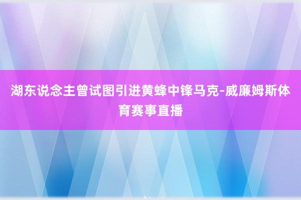 湖东说念主曾试图引进黄蜂中锋马克-威廉姆斯体育赛事直播