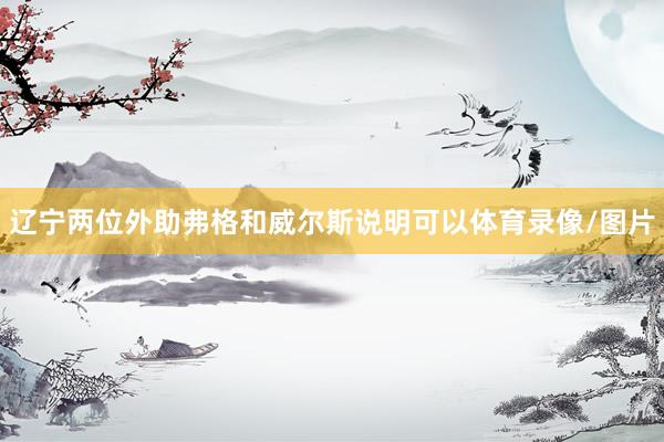 辽宁两位外助弗格和威尔斯说明可以体育录像/图片