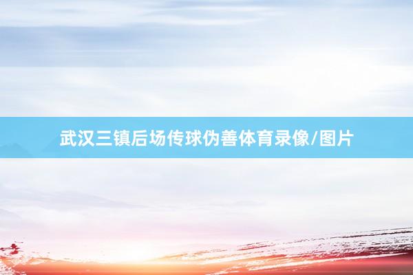武汉三镇后场传球伪善体育录像/图片