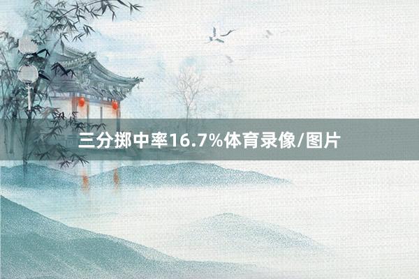 三分掷中率16.7%体育录像/图片