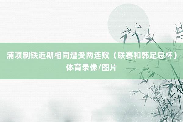 浦项制铁近期相同遭受两连败（联赛和韩足总杯）体育录像/图片