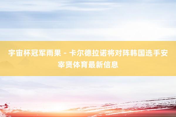 宇宙杯冠军雨果 - 卡尔德拉诺将对阵韩国选手安宰贤体育最新信息