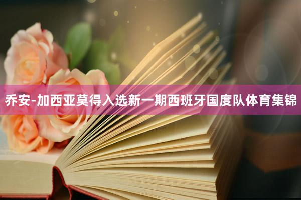 乔安-加西亚莫得入选新一期西班牙国度队体育集锦