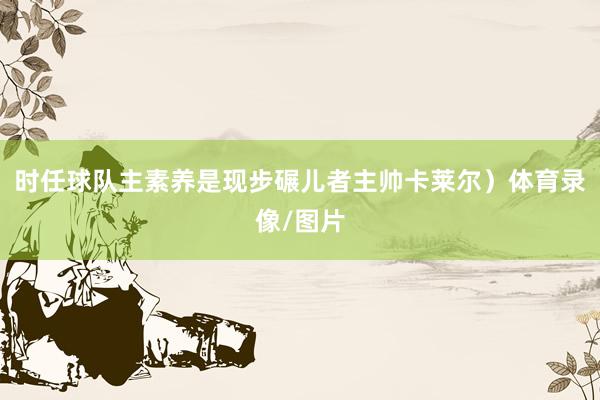 时任球队主素养是现步碾儿者主帅卡莱尔）体育录像/图片