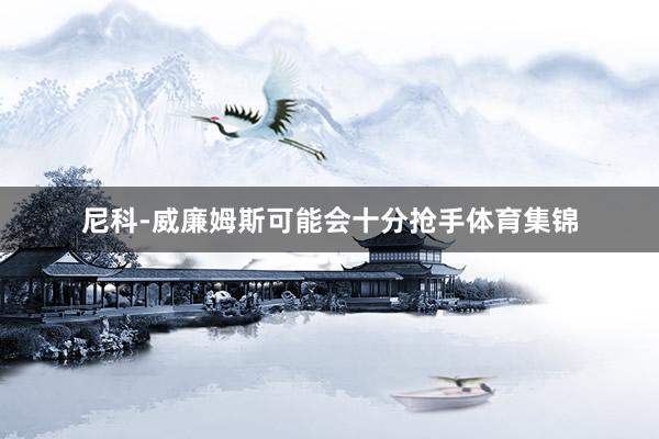 尼科-威廉姆斯可能会十分抢手体育集锦