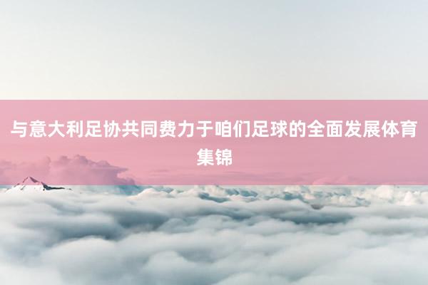 与意大利足协共同费力于咱们足球的全面发展体育集锦