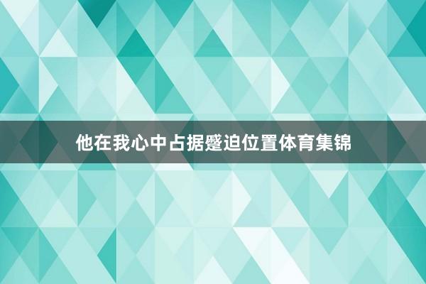 他在我心中占据蹙迫位置体育集锦