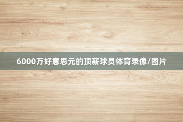 6000万好意思元的顶薪球员体育录像/图片