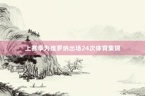 上赛季为维罗纳出场24次体育集锦