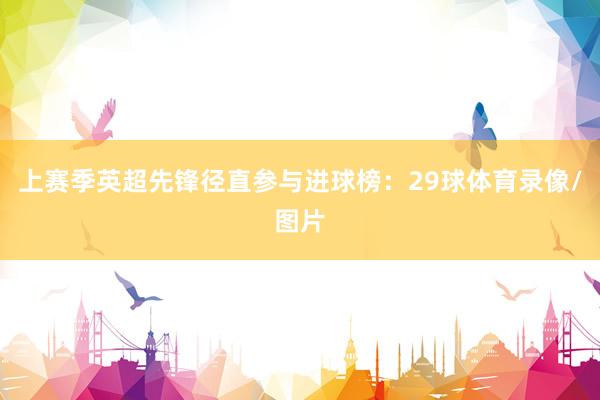 上赛季英超先锋径直参与进球榜：29球体育录像/图片