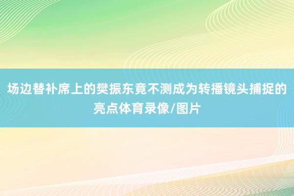 场边替补席上的樊振东竟不测成为转播镜头捕捉的亮点体育录像/图片