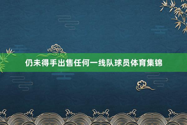 仍未得手出售任何一线队球员体育集锦