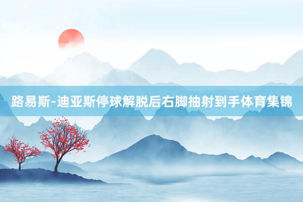 路易斯-迪亚斯停球解脱后右脚抽射到手体育集锦