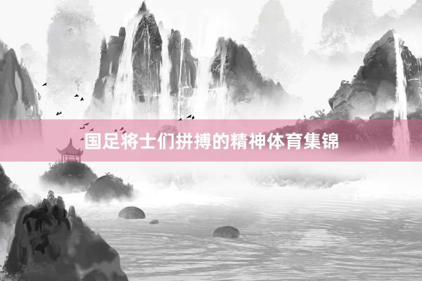 国足将士们拼搏的精神体育集锦