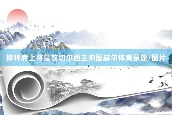 耕种席上将是前切尔西主帅图赫尔体育录像/图片