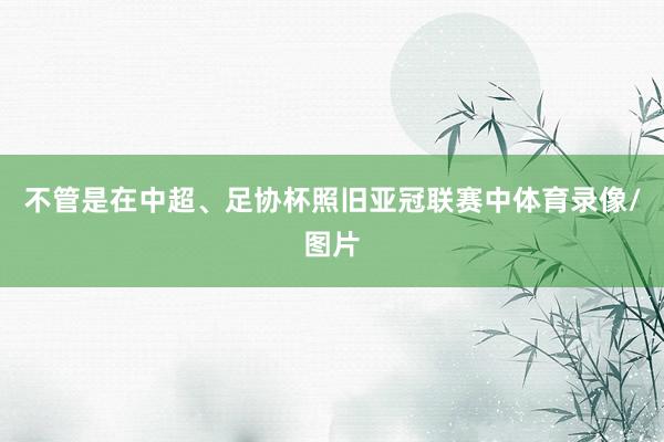 不管是在中超、足协杯照旧亚冠联赛中体育录像/图片