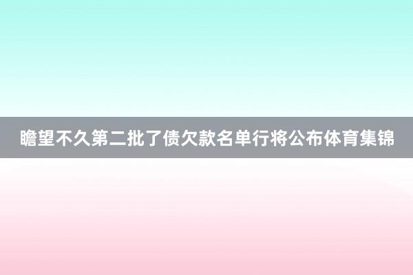 瞻望不久第二批了债欠款名单行将公布体育集锦
