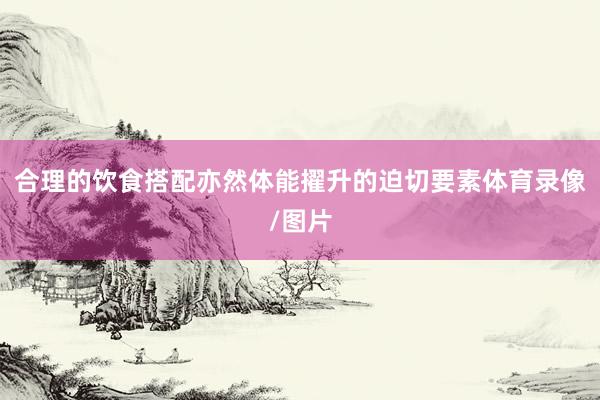 合理的饮食搭配亦然体能擢升的迫切要素体育录像/图片