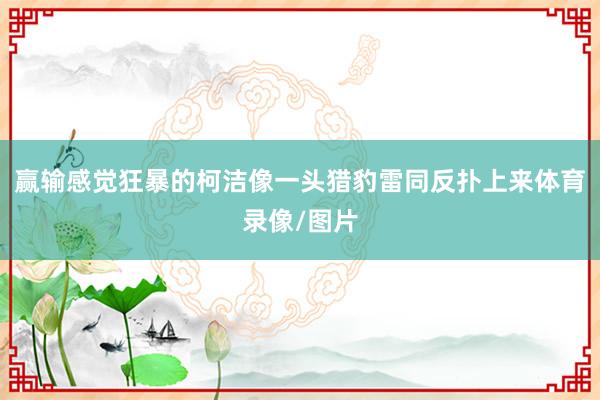赢输感觉狂暴的柯洁像一头猎豹雷同反扑上来体育录像/图片
