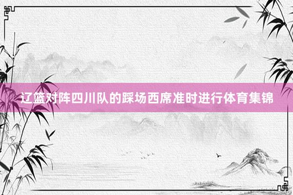 辽篮对阵四川队的踩场西席准时进行体育集锦
