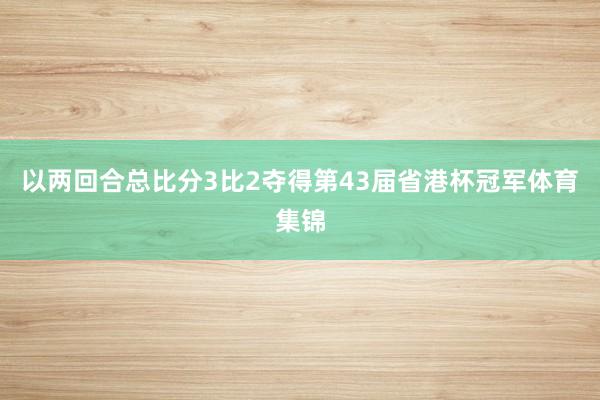 以两回合总比分3比2夺得第43届省港杯冠军体育集锦