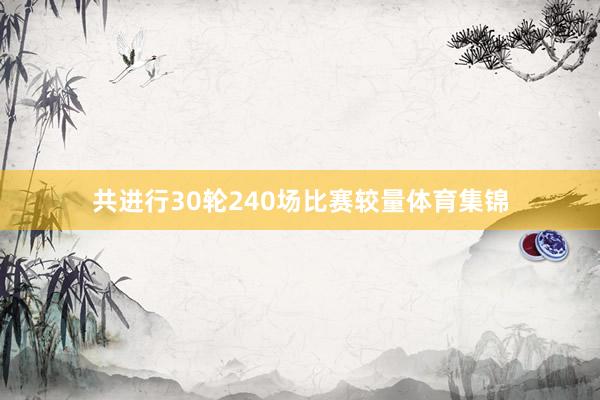 共进行30轮240场比赛较量体育集锦