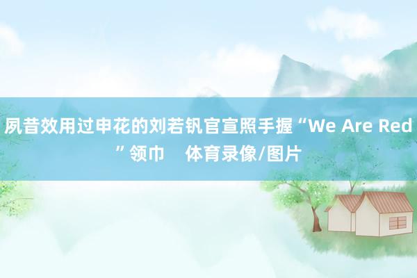 夙昔效用过申花的刘若钒官宣照手握“We Are Red”领巾    体育录像/图片