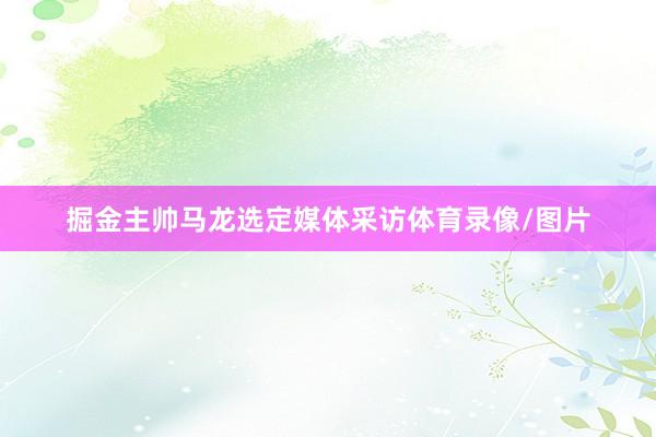 掘金主帅马龙选定媒体采访体育录像/图片