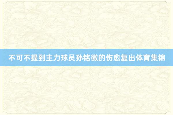 不可不提到主力球员孙铭徽的伤愈复出体育集锦
