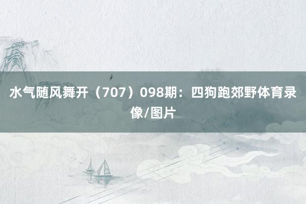 水气随风舞开(707) 098期:四狗跑郊野体育录像/图片