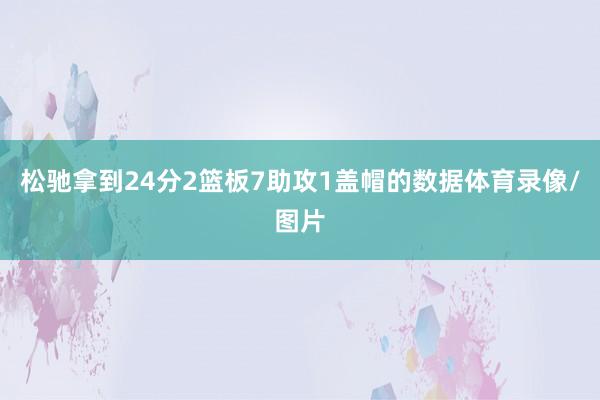 松驰拿到24分2篮板7助攻1盖帽的数据体育录像/图片