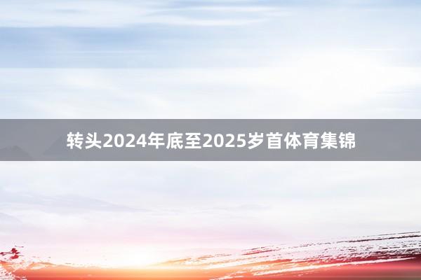 转头2024年底至2025岁首体育集锦