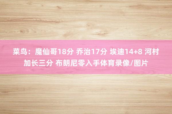 菜鸟:魔仙哥18分 乔治17分 埃迪14+8 河村加长三分 布朗尼零入手体育录像/图片